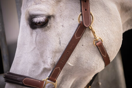 Paddock Leren Halster