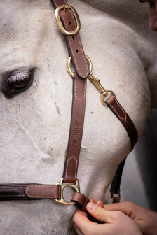 Paddock Leren Halster