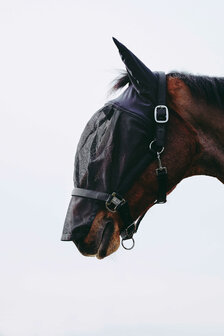 EquiTheme vliegenmasker halster