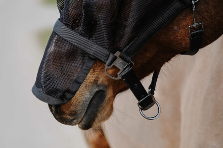 EquiTheme vliegenmasker halster