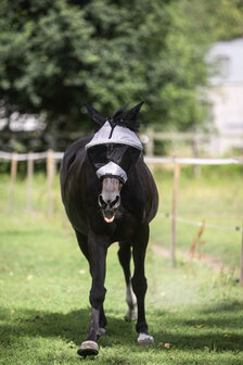 Lami-Cell vliegenmasker Easyfit