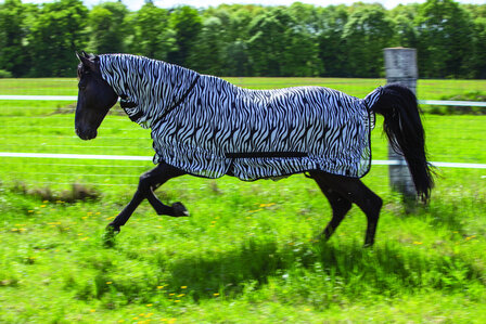 Riding World vliegendeken Combo