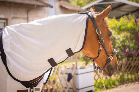 Paddock UV werende vliegendeken Mesh combo