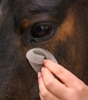 Waldhausen leer spons