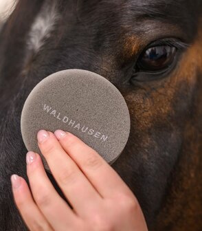 Waldhausen leer spons