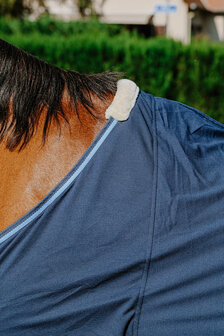 Riding World vliegendeken