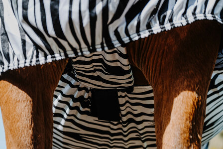 Riding World eczeemdeken zebra