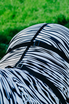Riding World eczeemdeken zebra