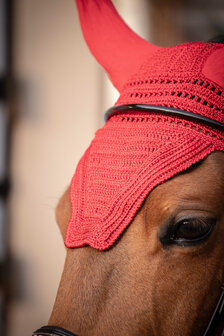 Paddock oornetje Prems