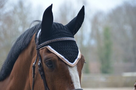 Paddock oornetje Origine