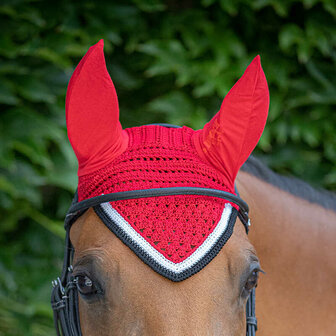 Paddock oornetje Origine