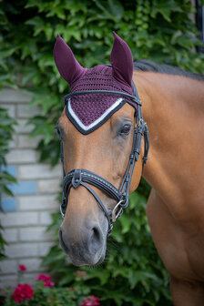 Paddock oornetje Origine