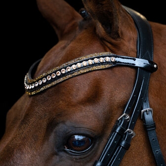 Imperial Riding frontriem Maxima