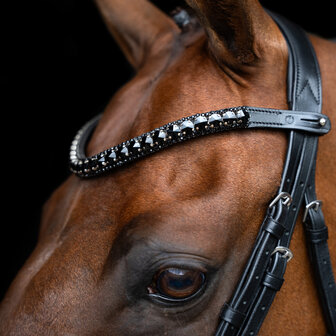 Imperial Riding frontriem Maxima