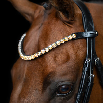 Imperial Riding frontriem Grande