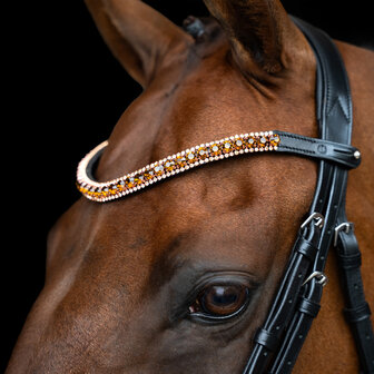 Imperial Riding frontriem Grande