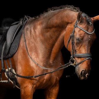 Imperial Riding leren bijzetteugels met elastiek