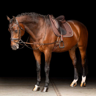 Imperial Riding leren bijzetteugels met elastiek