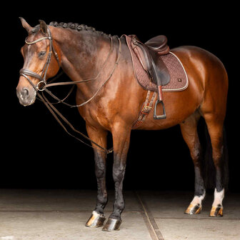 Imperial Riding slofteugel SH Core