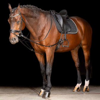 Imperial Riding driehoeksteugel Core