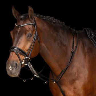 Imperial Riding Thiedeman Core