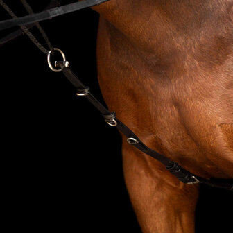 Imperial Riding Chambon Core