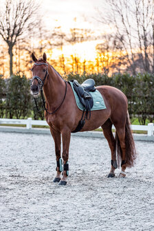 Imperial Riding strijklappen Lovely