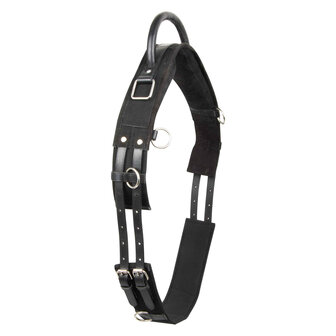 Imperial Riding voltigesingel Vito