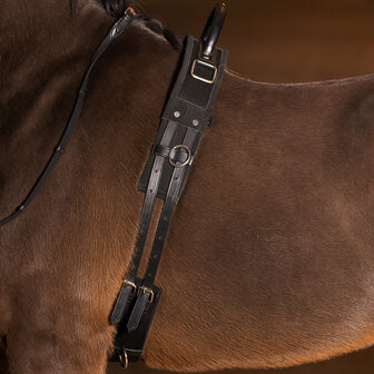 Imperial Riding voltigesingel Vito