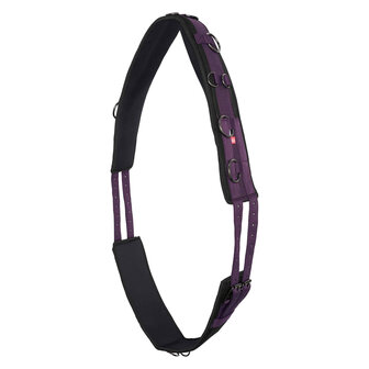 Imperial Riding longeersingel Deluxe Extra