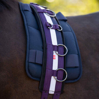 Imperial Riding longeersingel Deluxe Extra