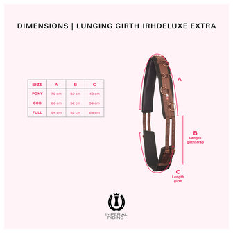 Imperial Riding longeersingel Deluxe Extra