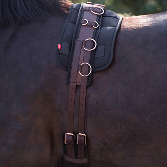 Imperial Riding longeersingel Deluxe Extra