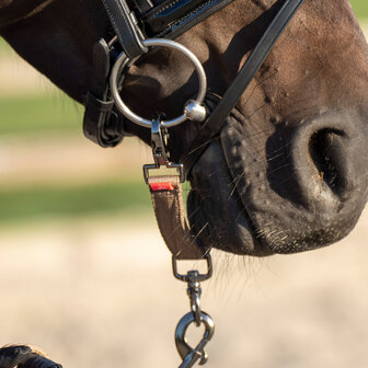Imperial Riding bitstukje