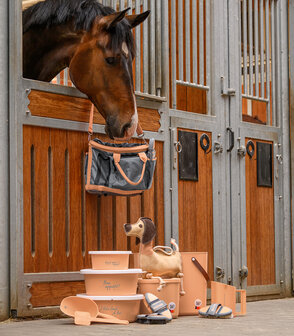 Waldhausen paardenspeelgoed Dachshund