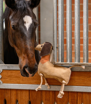 Waldhausen paardenspeelgoed Dachshund