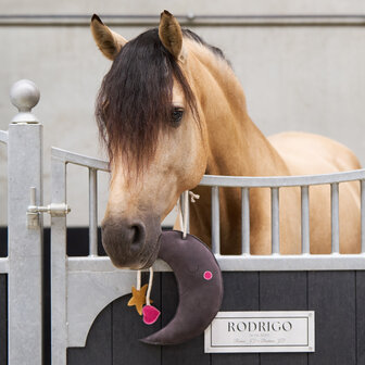 Imperial Riding speelgoed Moony