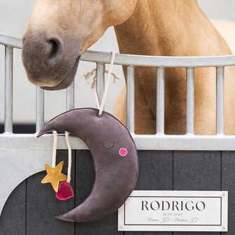 Imperial Riding speelgoed Moony