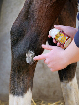 Kevin Bacon's honingzalf DermaProtek 50ml