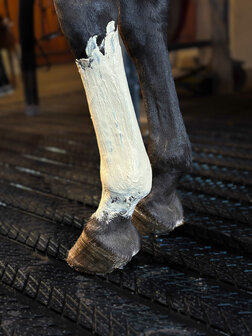 Kevin Bacon's groene leem Fresh Clay 1,5 kg