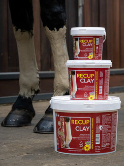 Kevin Bacon's groene leem Recup Clay 3 kg