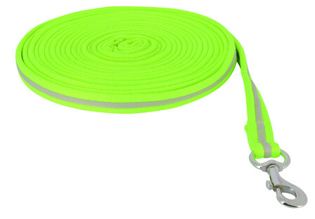 EquiTheme longeerlijn High Visibility