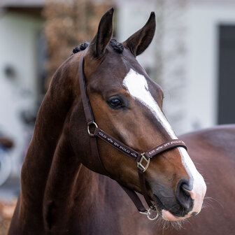 HV Polo Halster Nena