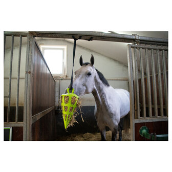 Excellent slowfeeder Fun &amp; Flex Carrot