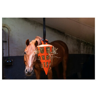 Excellent slowfeeder Fun &amp; Flex Carrot