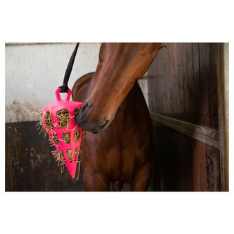 Excellent slowfeeder Fun &amp; Flex Carrot