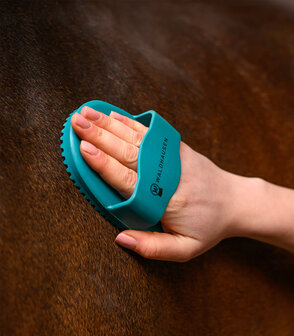 Waldhausen rubberen rosborstel regenboog