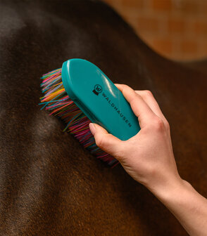Waldhausen zachte borstel lange haren regenboog