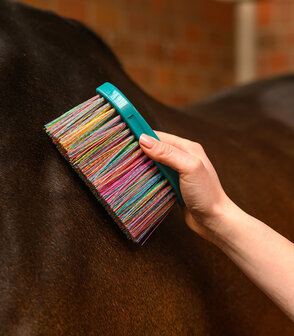 Waldhausen zachte borstel lange haren regenboog