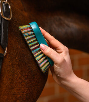 Waldhausen hoofdborstel regenboog